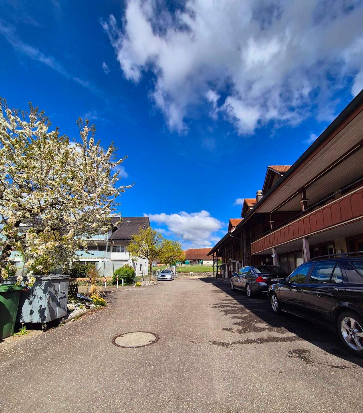Apartment Simcha Niederwichtrach Dış mekan fotoğraf